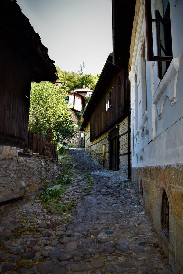 Hotel Bilyana Lovech Exterior photo